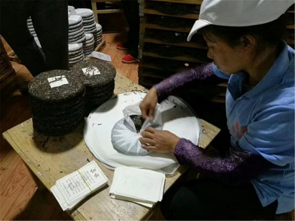 2018納新云南茶山行——納新2018頭春茶正在生產(chǎn)中~~